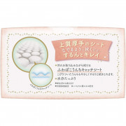 (低至$23) 日本製 加厚水分 54片x2包 花王 Merries 嬰兒濕紙巾 (補充裝) KZ