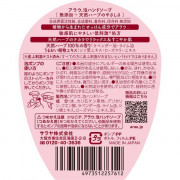 日本製 Arau 無添加 泡沫洗手液 樽裝 300ml Saraya 雅樂寶 KZ